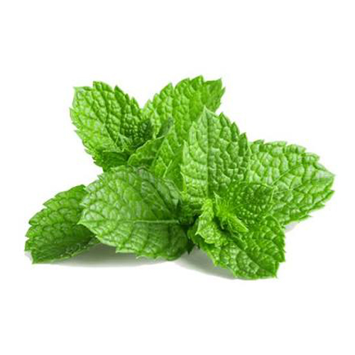Mint